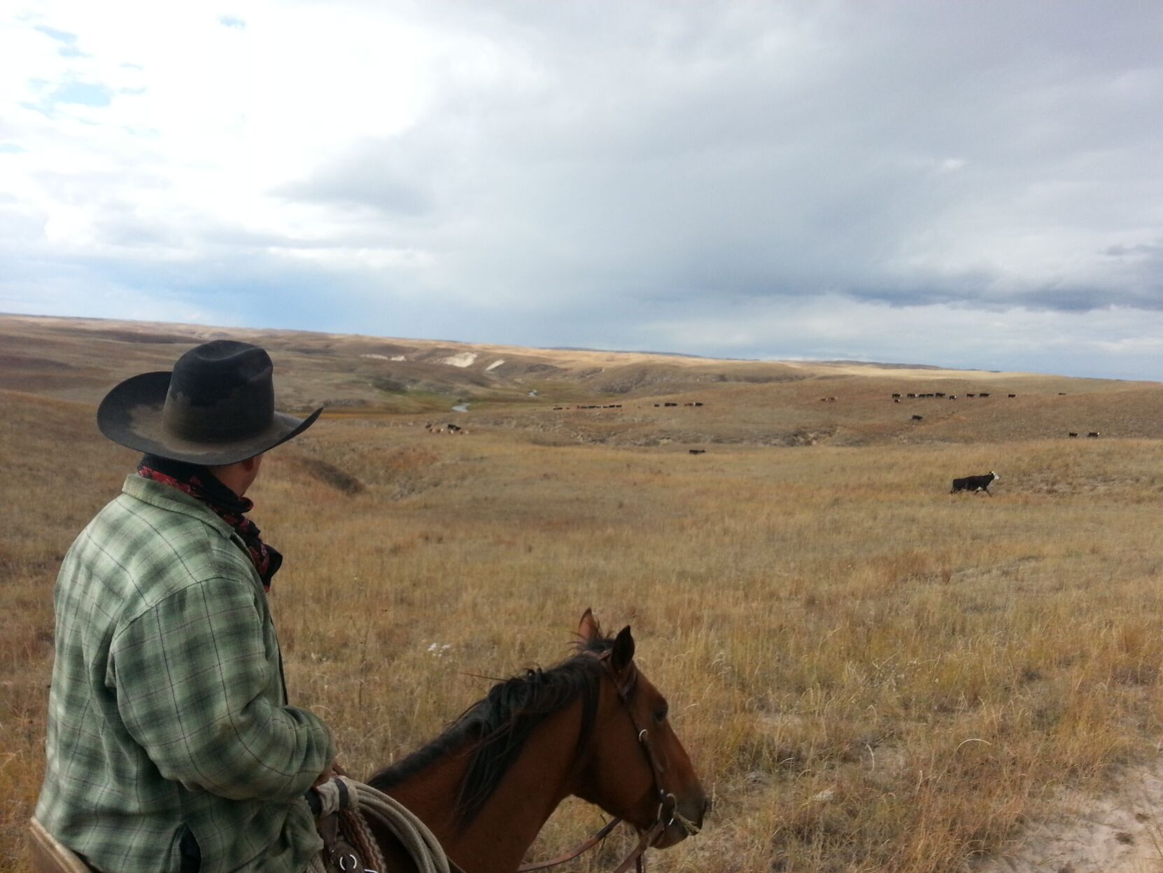 Sandhills Task Force (1).tif